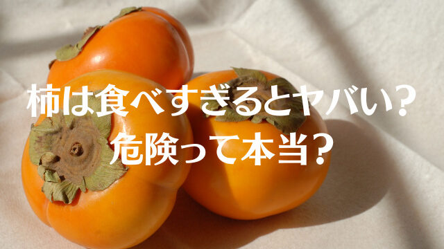 柿は食べすぎるとやばい？危険？