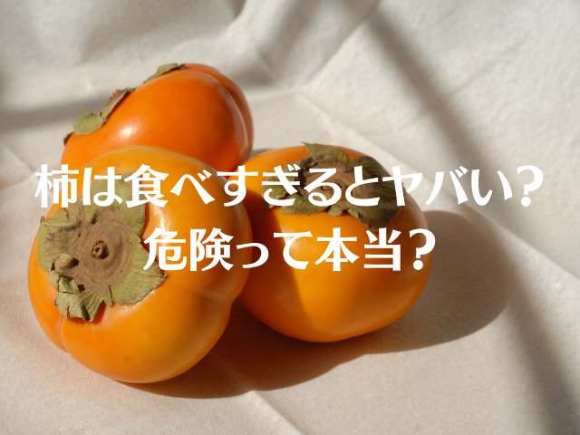 柿は食べすぎるとやばい？危険？