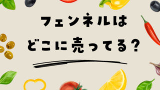 フェンネルはどこに売ってる？